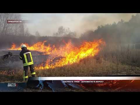 Спалюєте траву - допомагаєте ворогу