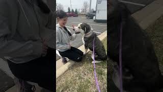 My daughter saw this adoption event across the street from the store