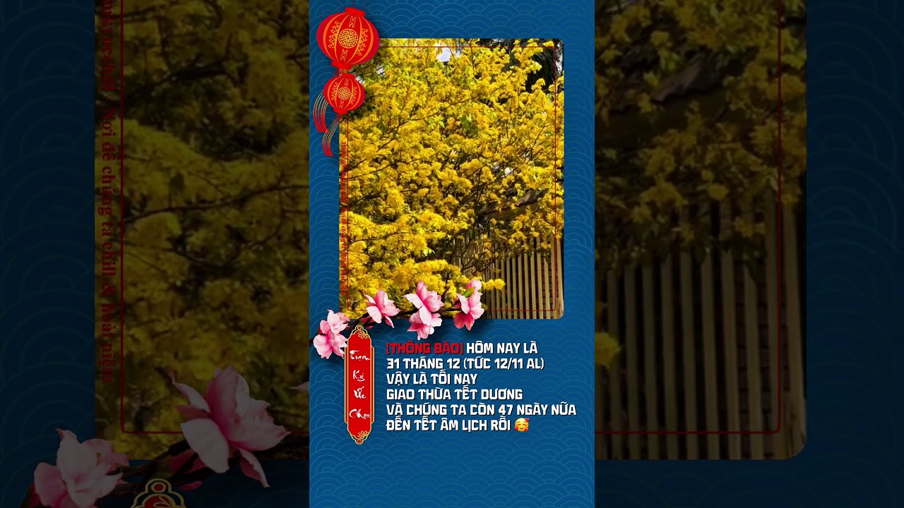 Happy new year bạn nhaaa🥰🎉🎉 