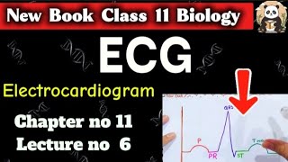ECG: Electrocardiogram & Electrocardiograph | Human Circulatory System | Class 11 Biology | New Book