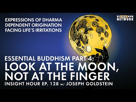 Essential Buddhism 4: Look At The Moon, Not At The Finger with Joseph Goldstein - Insight Hour 128