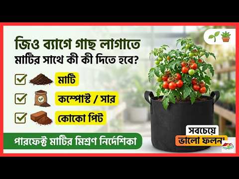 জিও ব্যাগে গাছ লাগাতে মাটির সাথে কী কী দিতে হবে? 🌱🪴 | Perfect Soil Mix Guide