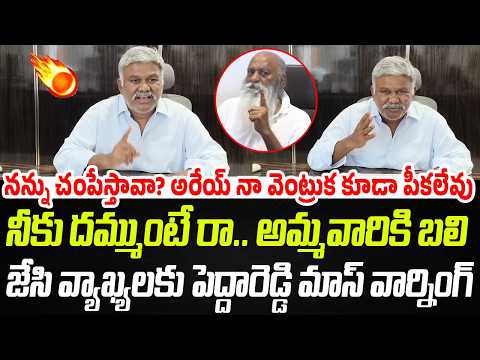 అరేయ్ దమ్ముంటే రా తేల్చుకుందాం.. నా వెంట్రుక కూడా పీకలేవు | Peddareddy | Praja Chaithanyam