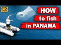 How to catch fish in Panama. Small sardines. How to use Cast Net. How to catch Red Snapper