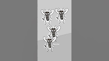 How mosquitoes guilt trip me after buying a mosquito net #shorts #funny #viral #laugh