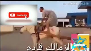 Mp3 تحميل اضحك يابن الكئيبه أغنية تحميل موسيقى