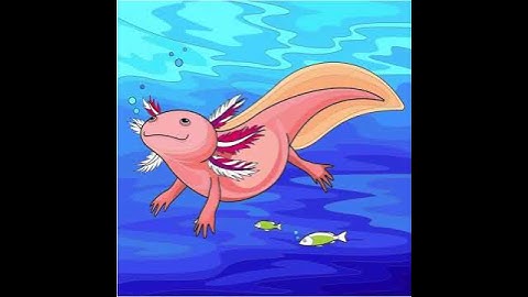 Hey Color Axolotl Please Subscribe
