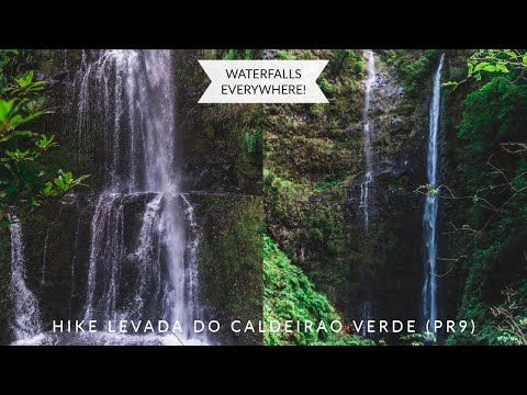 Wild Jungle vibes at Caldeirao Verde in Madeira - Wild Jungle vibes at Caldeirao Verde in Madeira