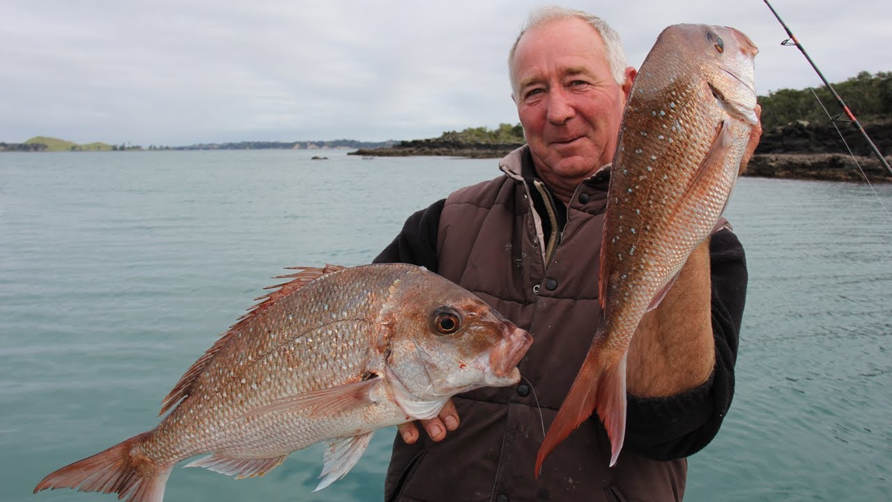 Straylining for SNAPPER in NZ with Bruce Duncan - YouTube