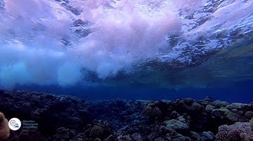 Monitoring waves and significant waves height