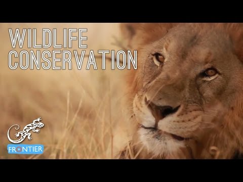 Essay on conservation of wildlife