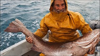 رحلة صيد لاستهداف أسماك الجنوب بتقنية الخيط والصنارة  مع الرايس كشتور|أجواء إيمانية ⬆️
