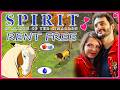 LE ROMANTISME POUR CHEVAUX !! -Spirit: Forever Free- [Saint Valentin avec Lolo !] thumbnail