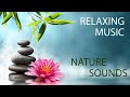 Beautiful piano music vol1  relaxing music by dha music  mega records