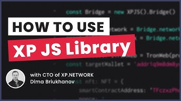 XP Shorts - How to use XP.network JS API Library – with CTO Dima Brook
