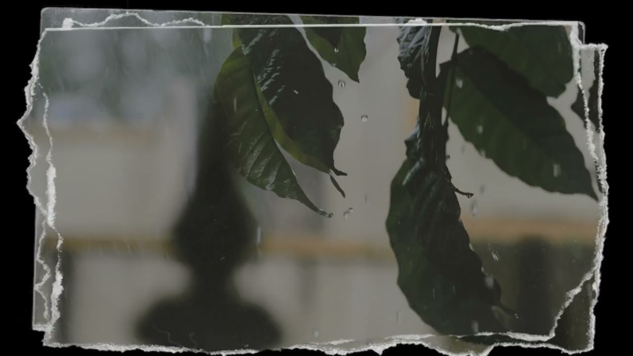 Take Me Away (Visualiser)