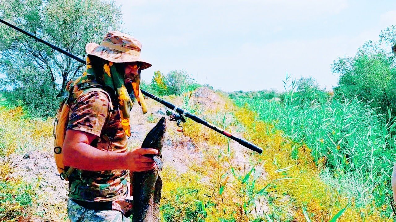 Янгиободда янги илонбош ови.1