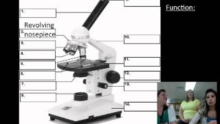Microscope Parts and Functions