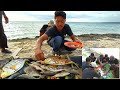 🔴Live Seafood, BBQ on the Beach _ Golden Trevally || Bakar Ikan Makan Bersama di Pantai