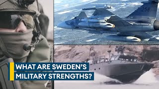 Nato's newest member Sweden packs a small but powerful military punch