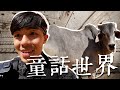 印度背光處EP.9 | 來到童話世界！走進印度金色城堡！