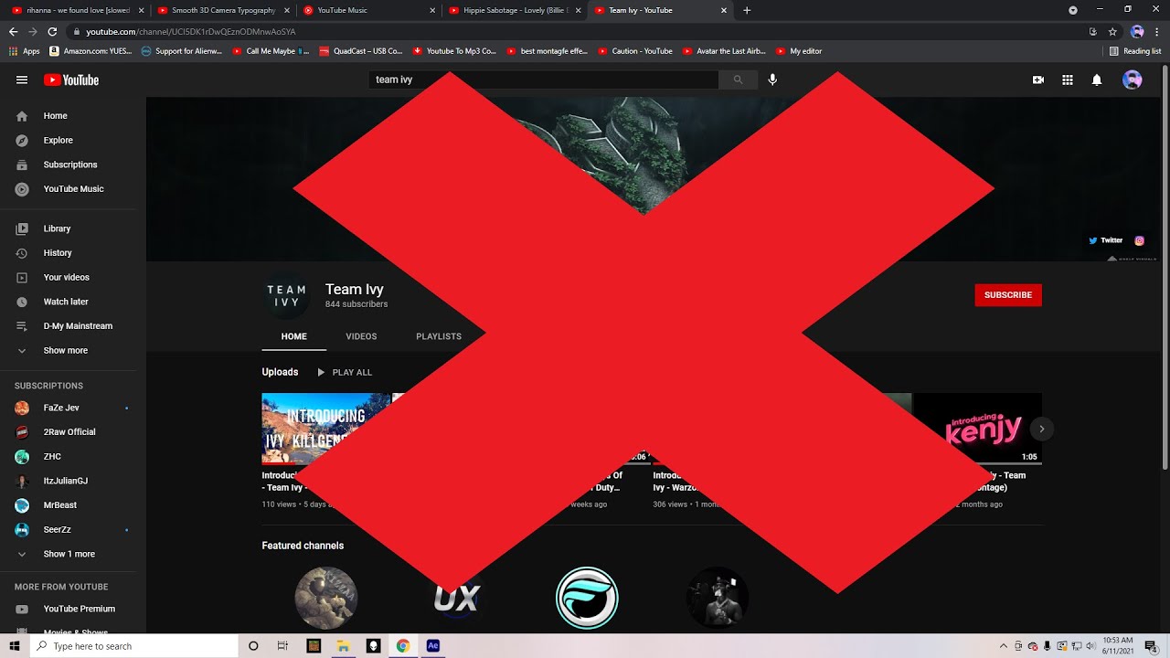 Why you SHOULDN'T join TEAM IVY