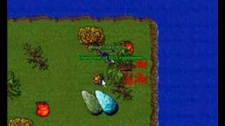 tibia test server hell