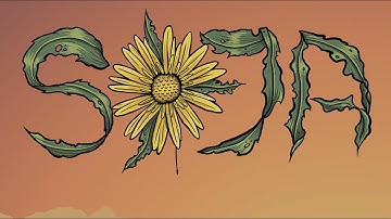 SOJA - Things You Can