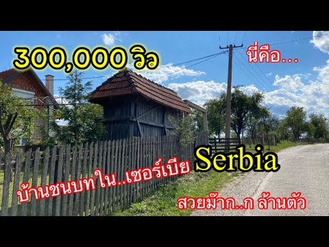 EP.218 | นี่คือบ้านนอกในชนบทของประเทศเซอร์เบีย Serbia สวยสงบ ชีวิตเรียบง่าย ปลูกผักผลไม้ เลี้ยงสัตว์