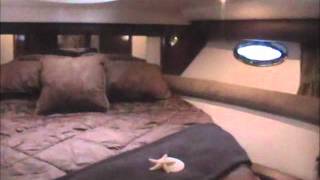 2008 Meridian 391 by Tony Derrien