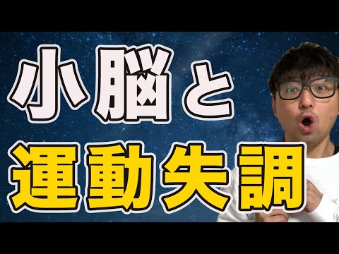 【小脳】小脳と運動失調を解説