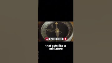 How Does a Compass Work  Discover the Science