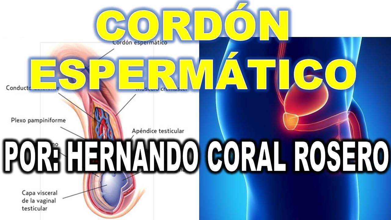 síntomas de bloqueo del cordón espermático de la diabetes