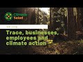 Interview with cat long from trace on businesses role in climate action