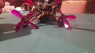 Lizard95