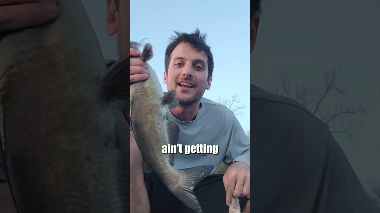 Дрифтовые поплавочные оснастки превосходят донные: советы и хитрости для речной рыбалки: лучшие о...