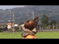 ハヤブサのルアーリング　Wins falcon