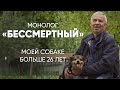 Это почти мировой рекорд: #монолог хозяина 26-летней собаки