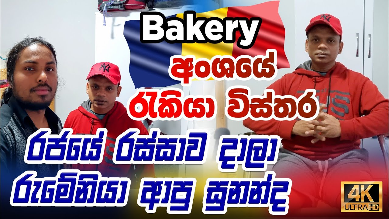 Unlocking opportunities: Romania's untold stories of unskilled labor|bakery රැකියා විස්තර