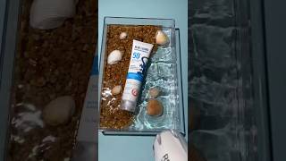 📸💦 Product Photo Idea Using a Water Tray! #shorts #productphotography #creativephotography