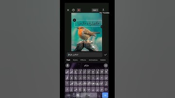 How to write urdu in capcut | capcut ma urdu kasa likhta hn