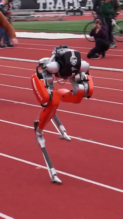 Fastest 100 meters by a bipedal robot - 24.73 seconds 🤖