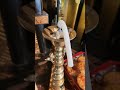 ロウソクが大変なことに❗