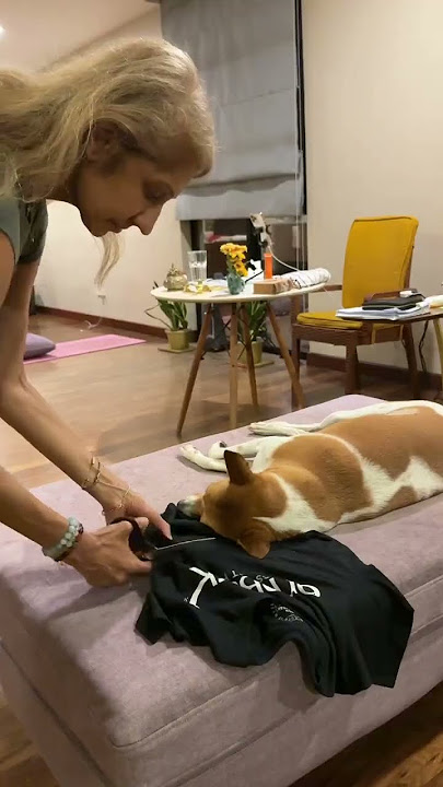 How Crop T-Shirts Were Actually Invented 😂🐶 | Otara Gunewardene