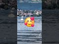 paisagem