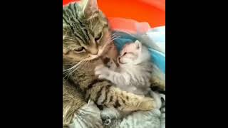 Cute mother & son