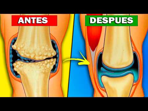 KNEE Pain: 10 Key Foods to Regenerate Cartilage