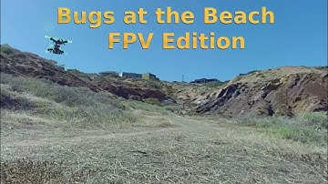 MJX Bugs 6-3 at the beach - FPV Edition