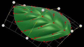 Parametric Modelling in Unity: Leaf