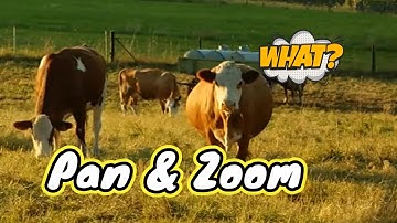 Learn to PAN & ZOOM With Filmora 11